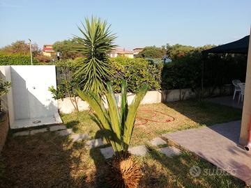 Trilocale zona aeroporto di Lamezia Terme