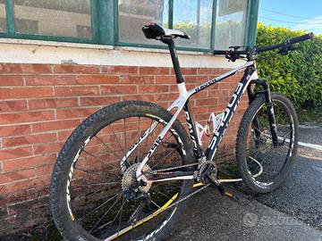 Mtb Focus Raven 29R