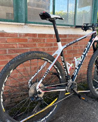 Mtb Focus Raven 29R