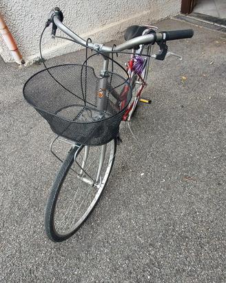 bici donna