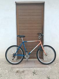 Bici rampichino 