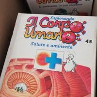 Raccolta Esplorando il corpo umano