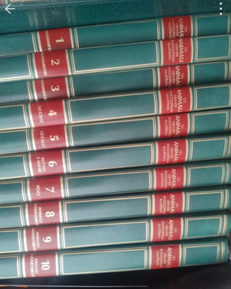 Enciclopedia 