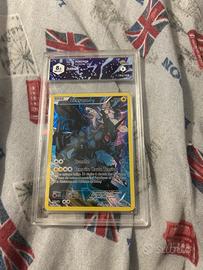 Zekrom xy 76 promocard francese