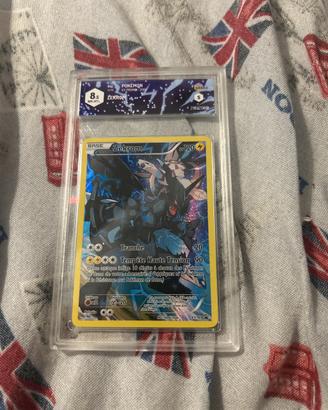 Zekrom xy 76 promocard francese