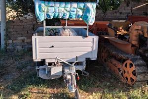  Carrello  anno  2022  