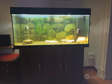 acquario juwel rio 180 led