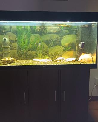 acquario juwel rio 180 led