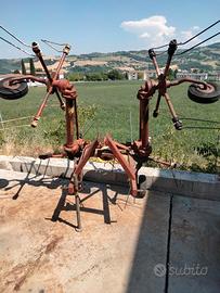 Girello e  Ranghinatore