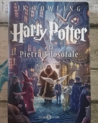 Libro Harry Potter La Pietra filosofale castello