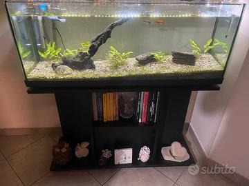 acquario 100 lt