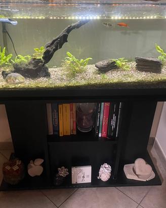 acquario 100 lt