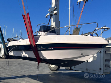 Barca bluline 19 plus fascia bicolore