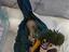 Immagine 4
