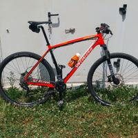 Bici MTB in carbonio
