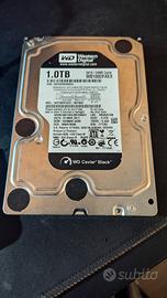 Western digital caviar black