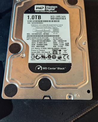 Western digital caviar black