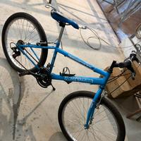 Bicicletta 24 forza azzurri