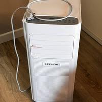 Pinguino condizionatore