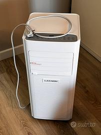 Pinguino condizionatore