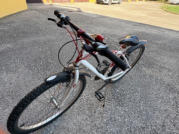 Bicicletta ragazzo