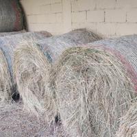 Fieno biologico di montagna 2025