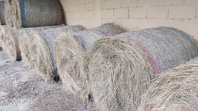 Fieno biologico di montagna 2025