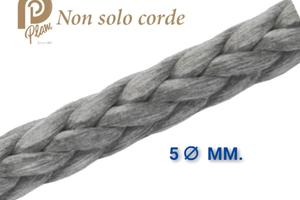 Cima Plam Treccia Dynaprotect Plus HMPE  Braid