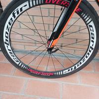 Coppia ruote full carbon 