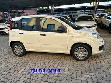 FIAT Panda PROMO FINANZ 1.0 HYBRID ICON KM 0