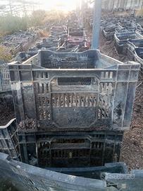 Cassette di plastica