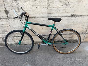 Bicicletta