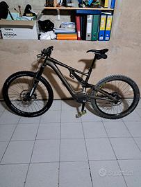 specialized turbo kenevo