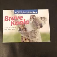 Brave koala