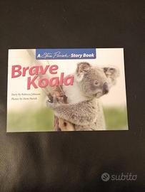 Brave koala