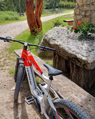 bici elettrica 