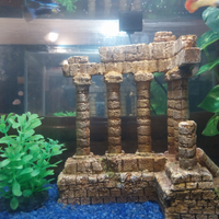 Acquario avviato con 4 pesci guppy