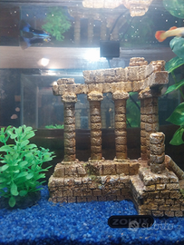 Acquario avviato con 4 pesci guppy