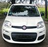 fiat-panda-1-2-easy