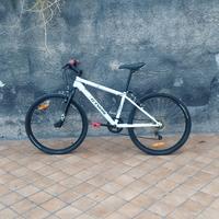 Bicicletta 24