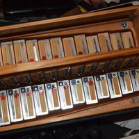 Organetto 2 bassi NOTTURNI in DO