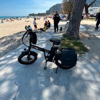 Bici fat bike elettrica immacolata batteria 48v