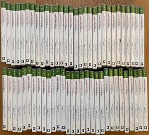 COLLEZIONE GLI SCENEGGIATI RAI