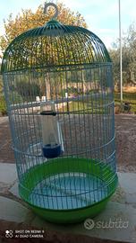gabbia uccelli 