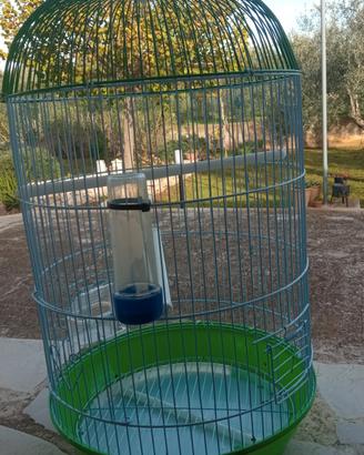 gabbia uccelli 