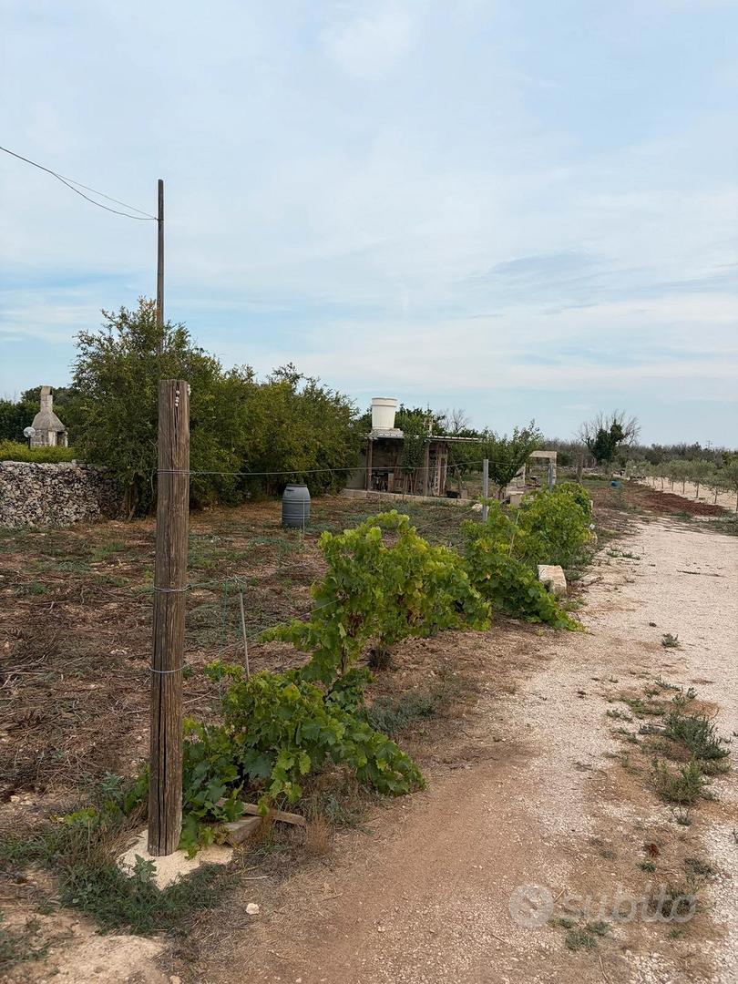 Terreno con piccolo rustico - Altro