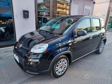 FIAT - Panda - 1.0 FireFly S&S Hybrid