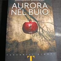 Libro Aurora nel Buio