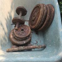 pesi per manubri e bilancieri