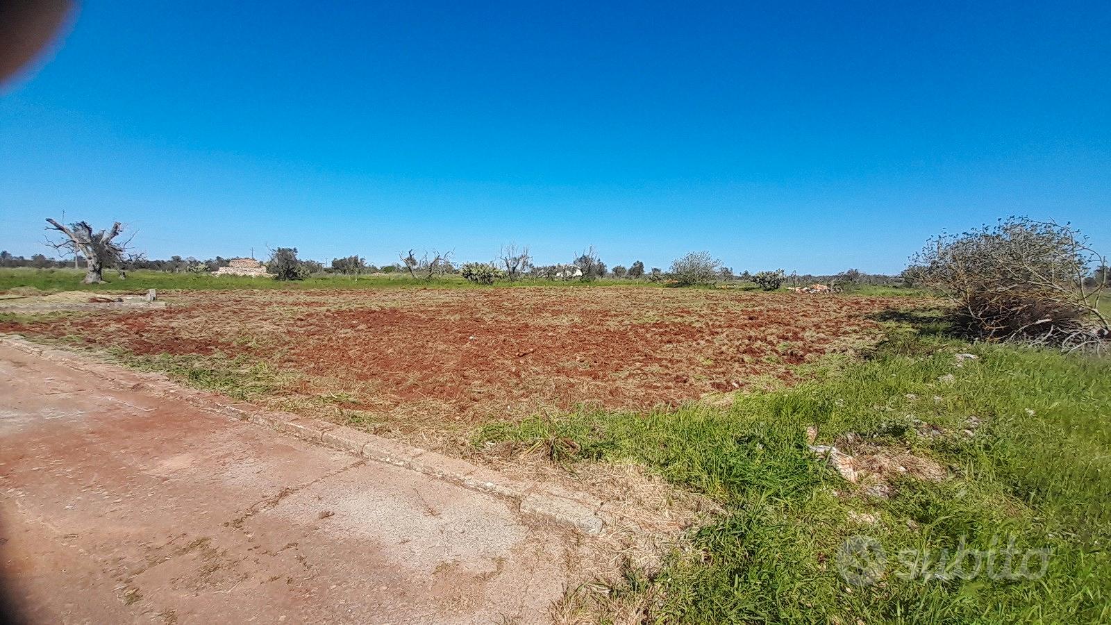 Terreno agricolo - Vista 5